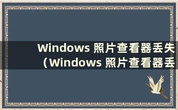 Windows 照片查看器丢失（Windows 照片查看器丢失 如何找到它回家）